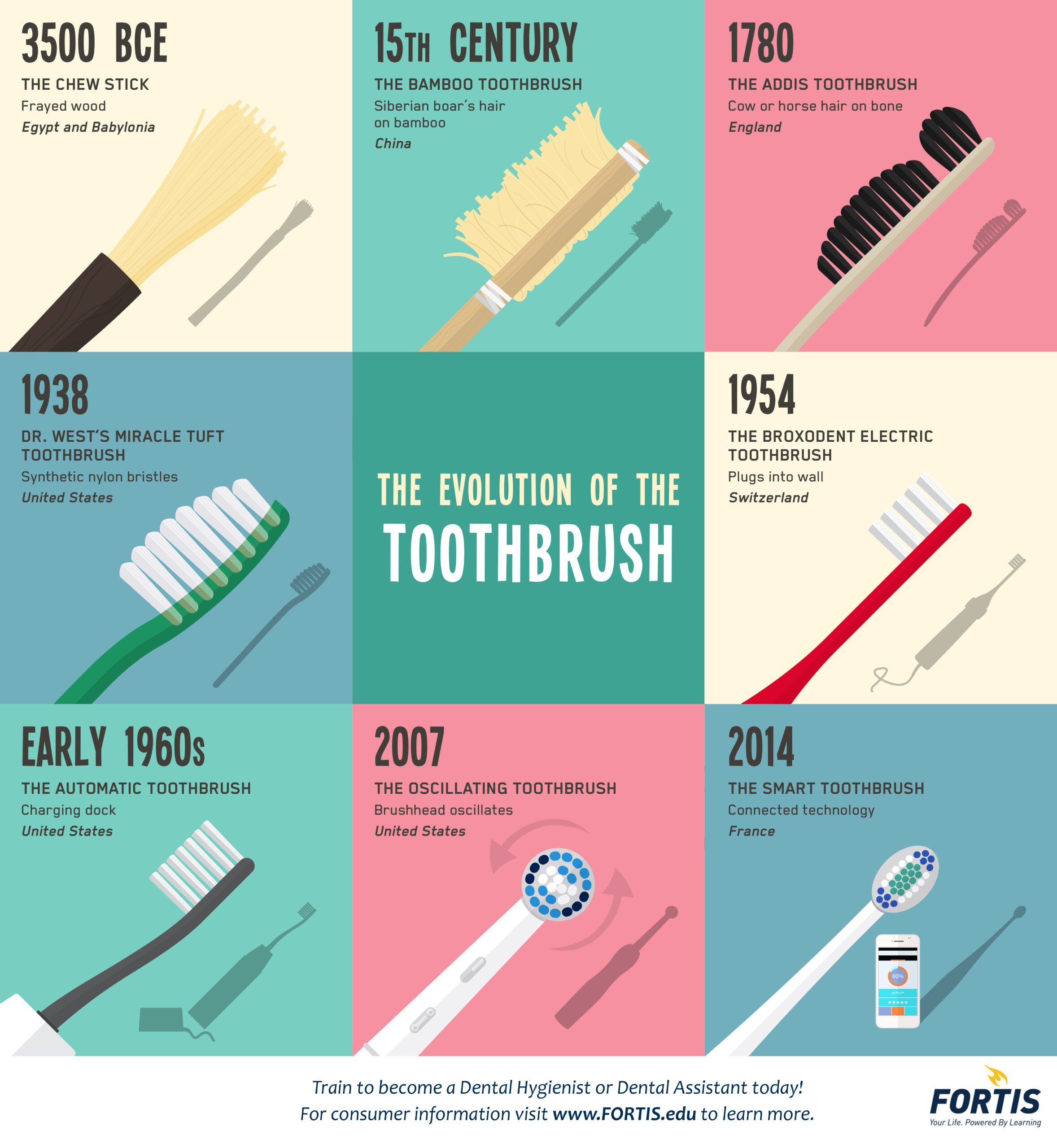 A Glimpse Into the 19th Century Toothbrush: Evolution, Design, and Use