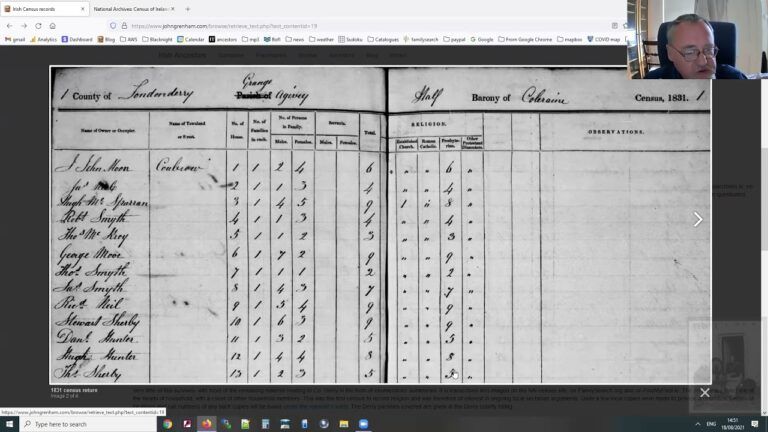 Exploring Irish Censuses In The 19th Century A Window Into Irish Genealogy