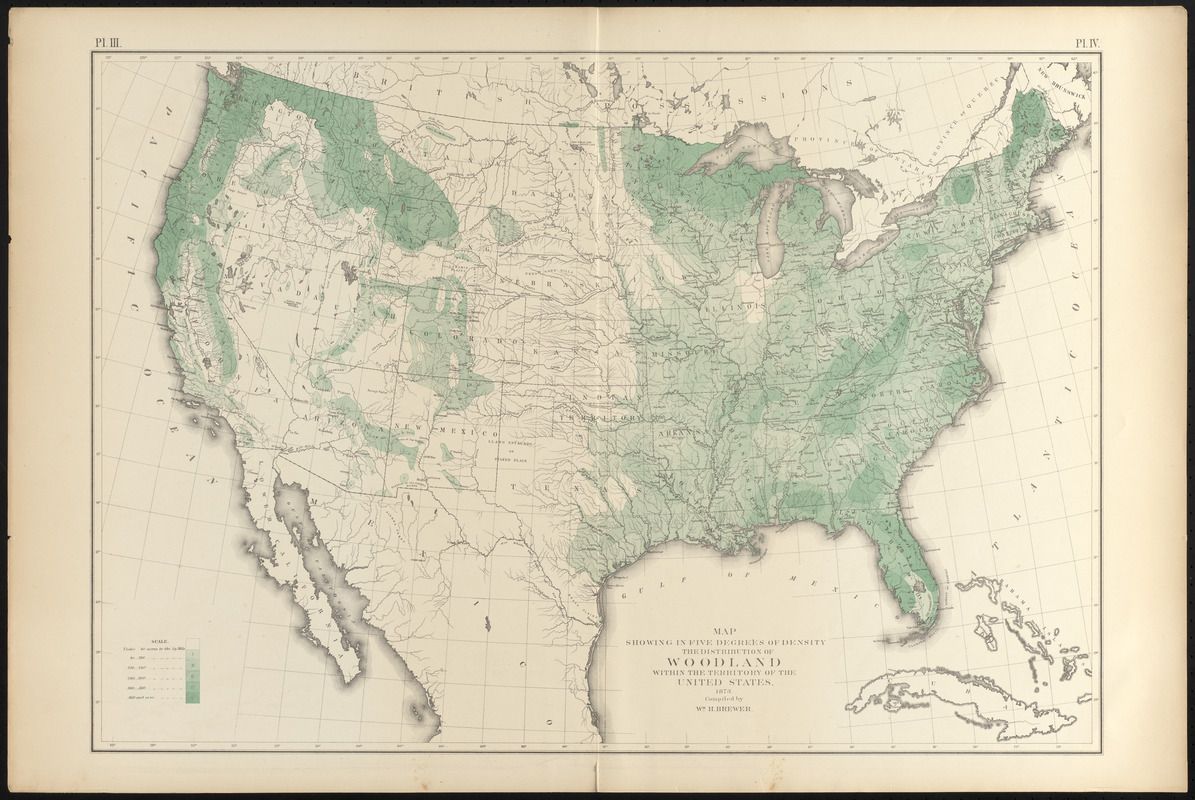 Exploring the 19th Century: Unveiling the Intricate United States Map of the Era