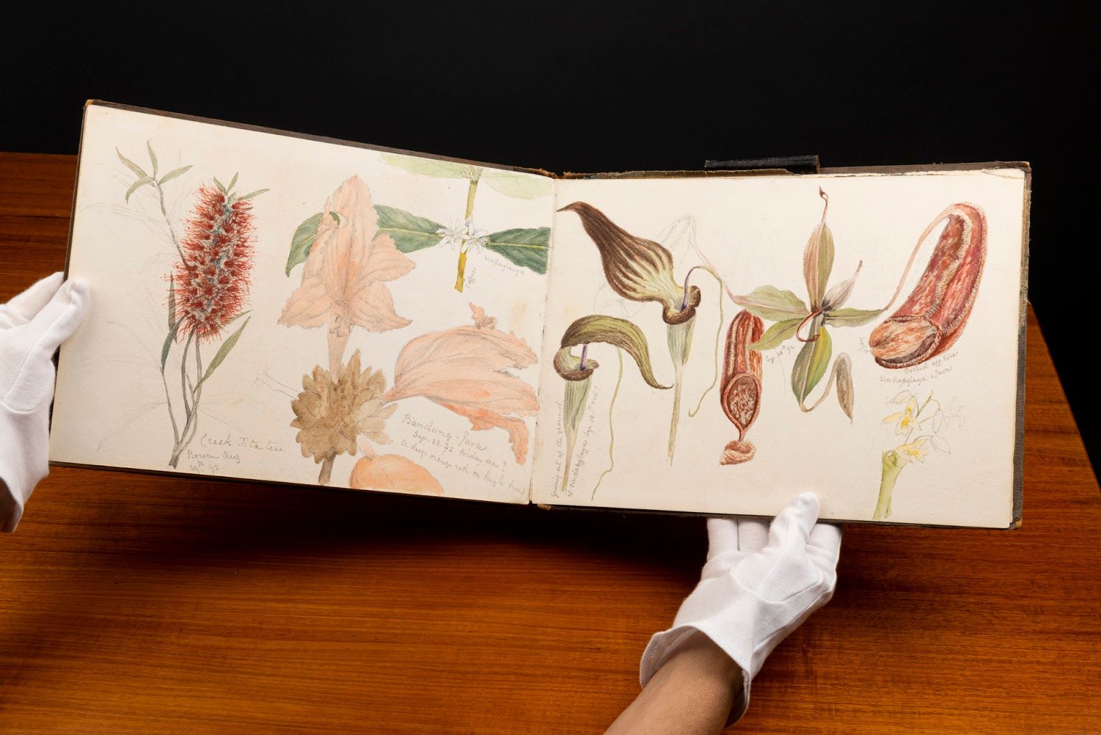 Exploring the Artistic Treasures: Unveiling the 19th Century Sketchbook