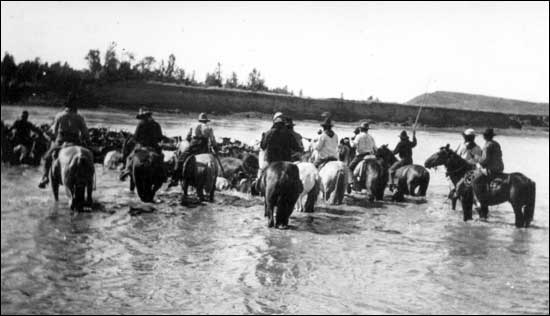 Exploring the Past: Unveiling the Four Trails Used During 19th Century Cattle Drives