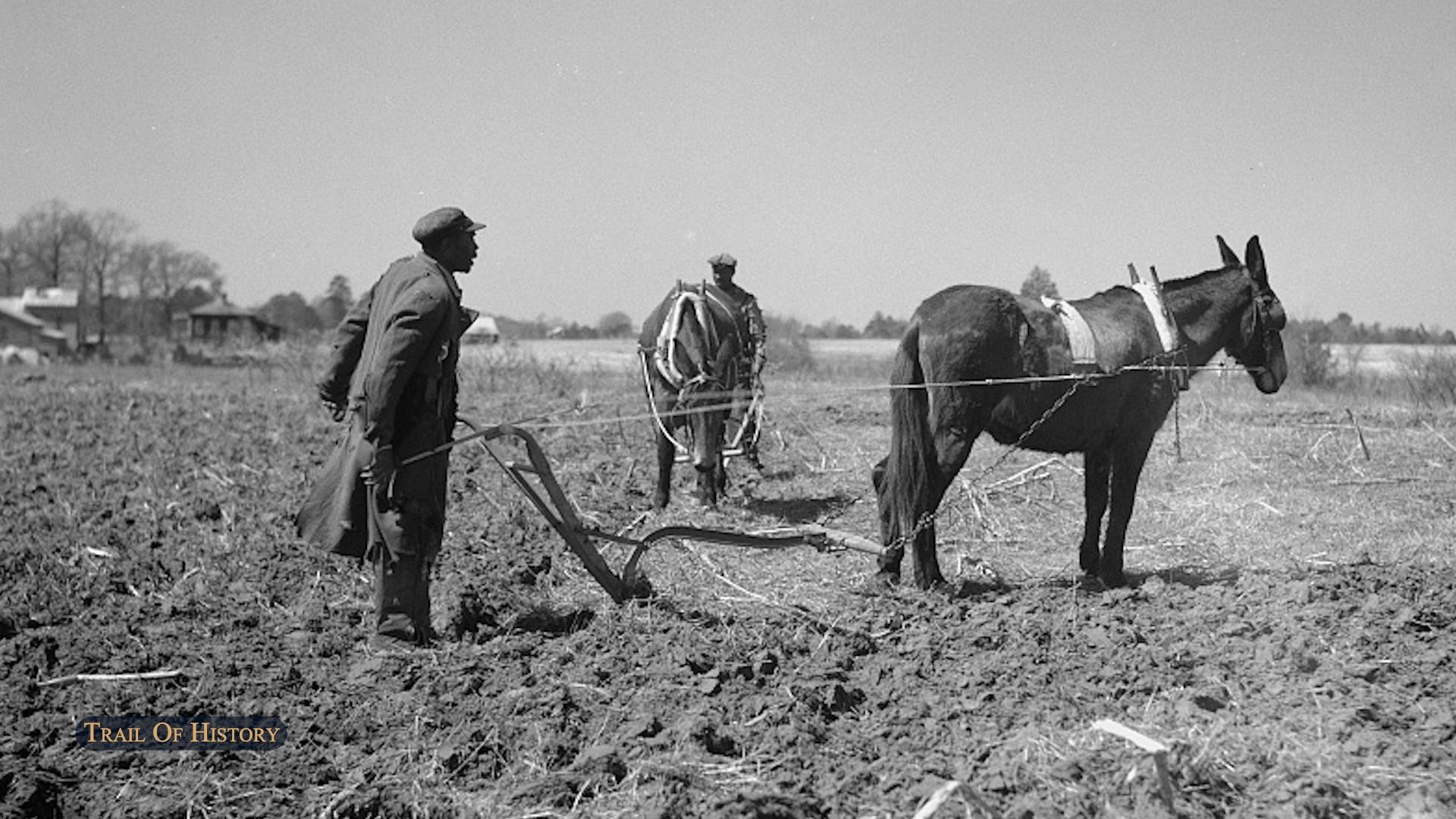 Forgotten Heroes: Exploring the Lives of Agricultural Workers in the 19th Century