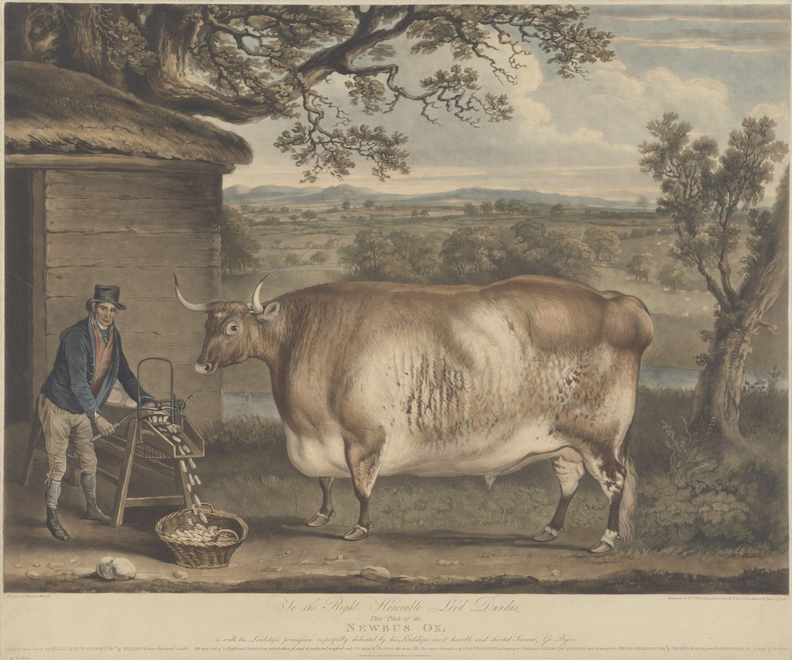 Glimpses of the Past: Exploring 19th Century Cow Paintings