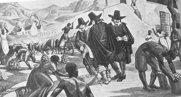 Slavery in the Cape: Unveiling the Dark History of the 17th to 19th Centuries