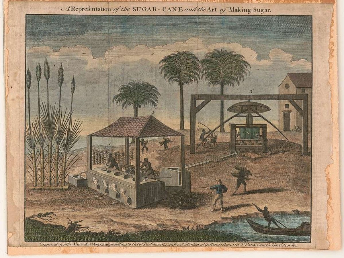 Sweet Success: Exploring the Cuban Sugar Industry in the 19th Century