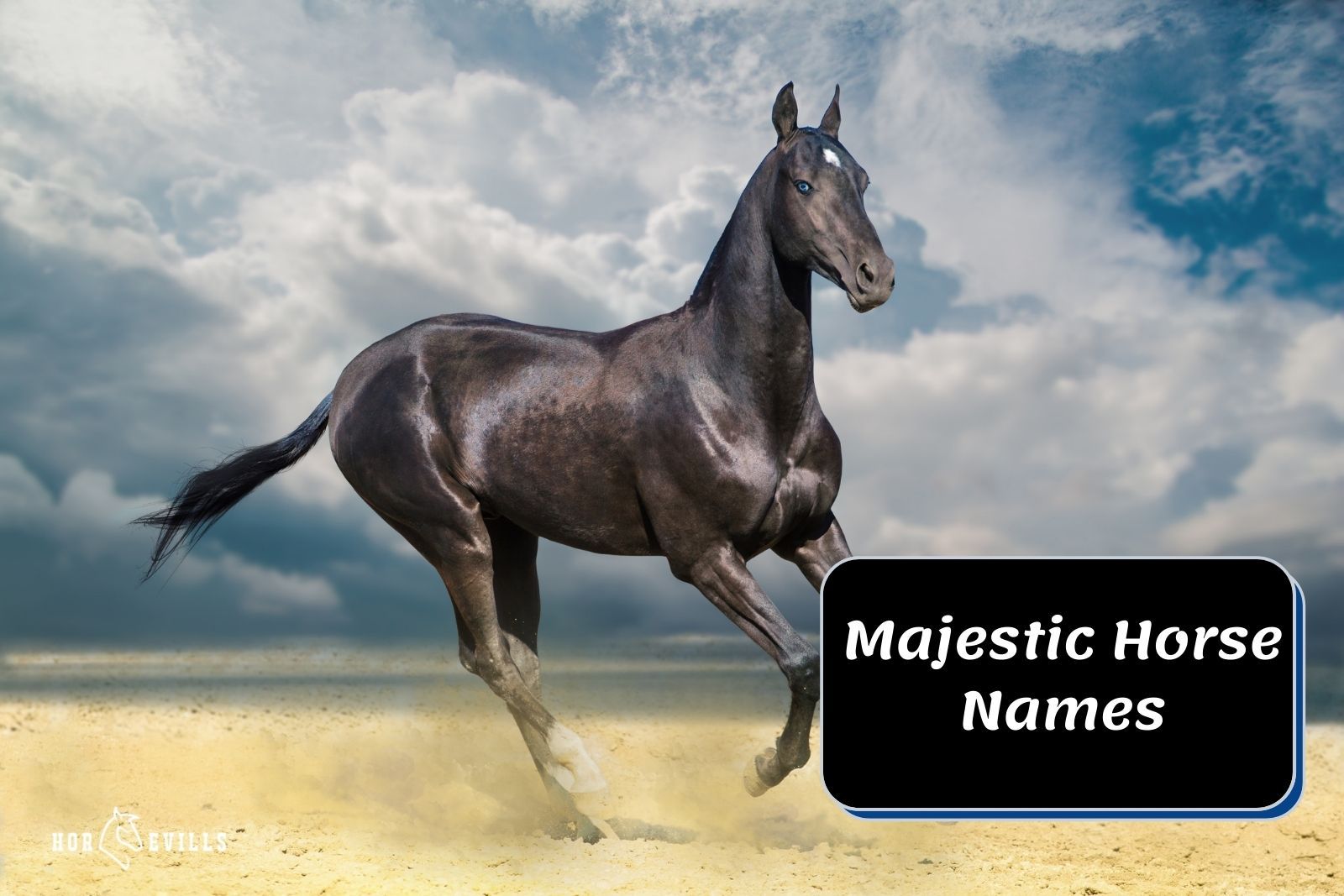 The Alluring Equestrian Era: Unveiling the Majestic 19th Century Horse Names