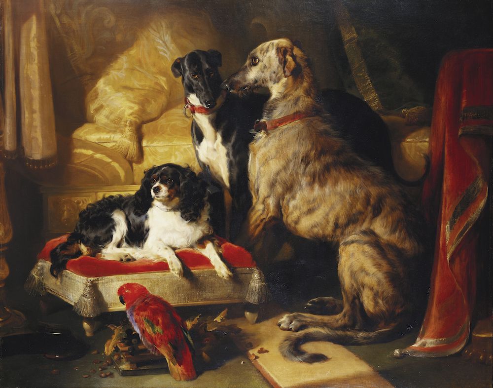 The Beloved Companions: Exploring the Role of Dogs in the 19th Century