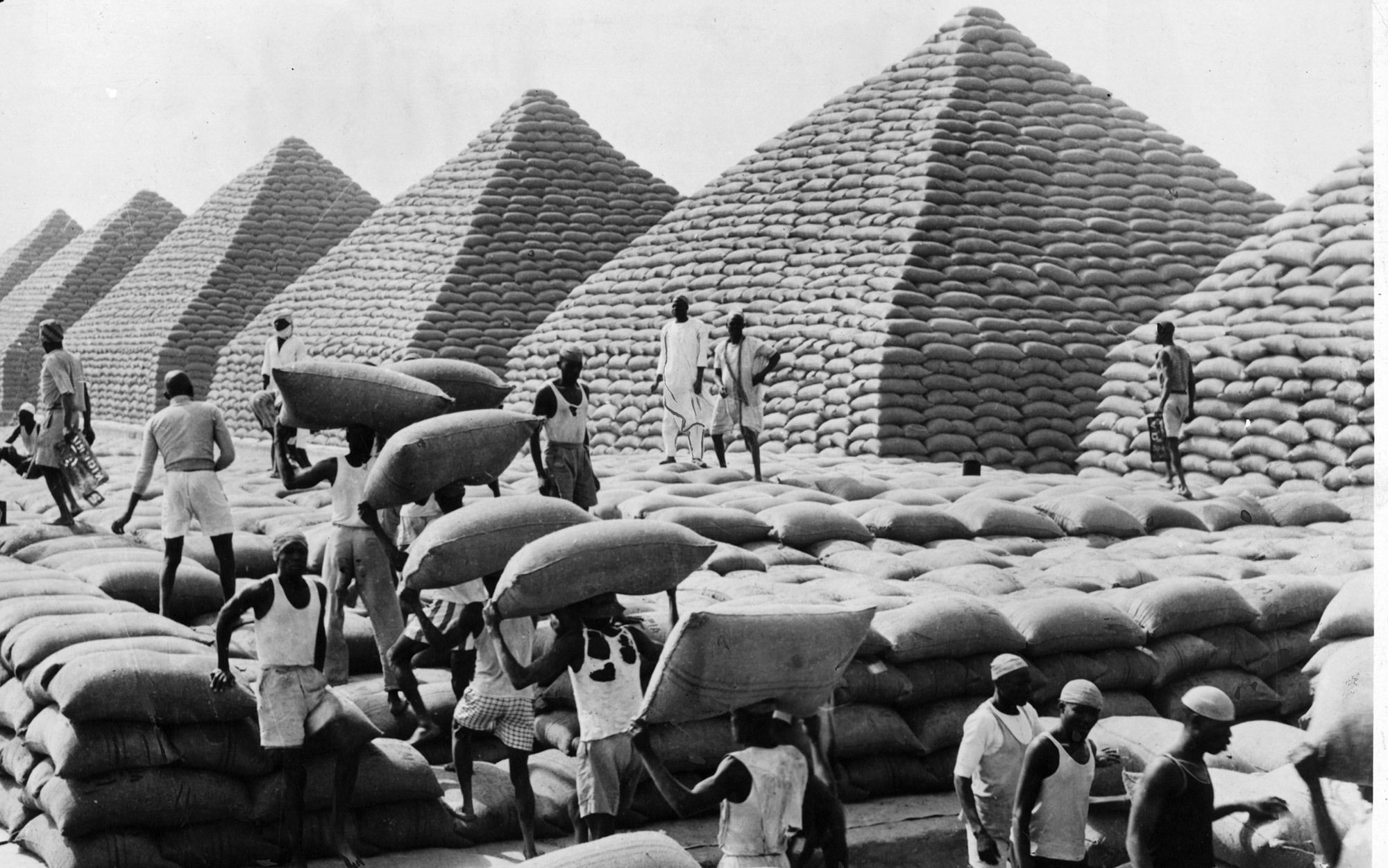 The Economic Boom: A Look into West African Economy in the 19th Century