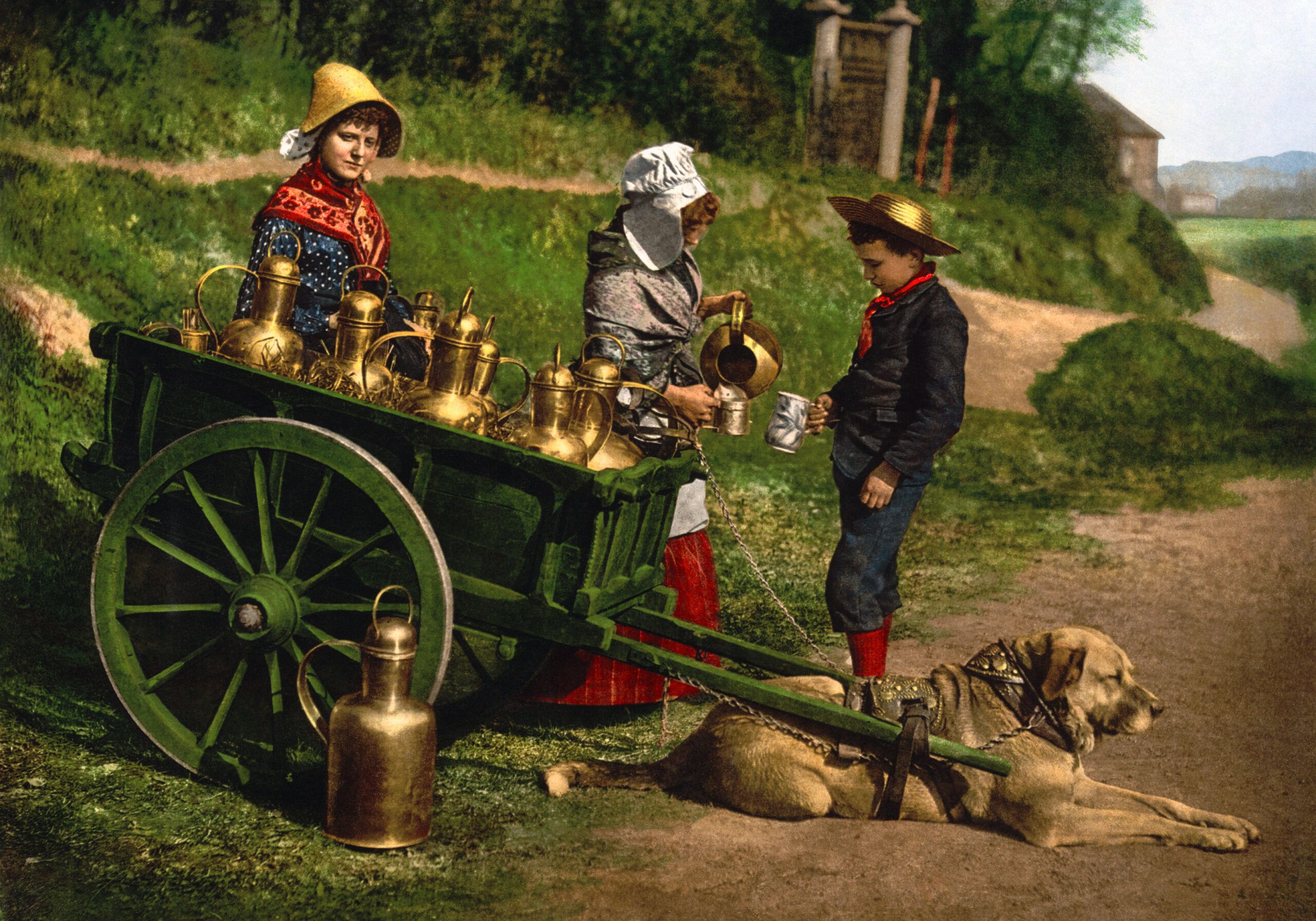 The Evolution and Significance of Dog Carts in the 19th Century
