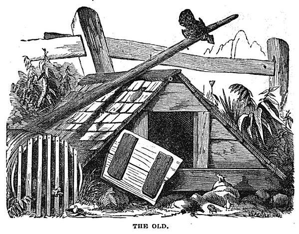 The Evolution of 19th Century Chicken Coops: A Journey through History