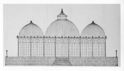 The Evolution of 19th Century Conservatories: A Journey Through Time