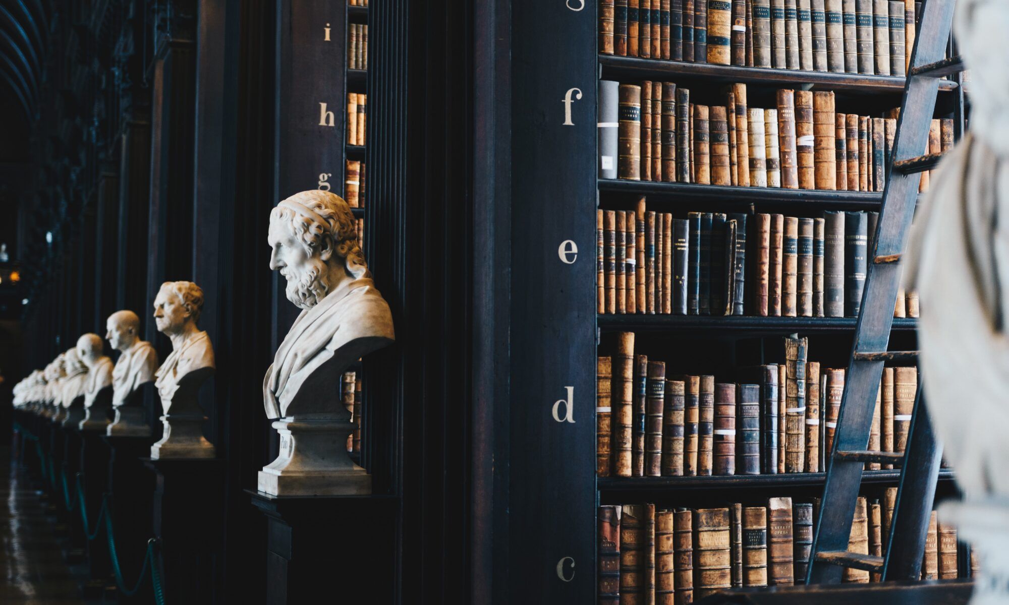 The Evolution of Libraries in the 19th Century: A Gateway to Knowledge