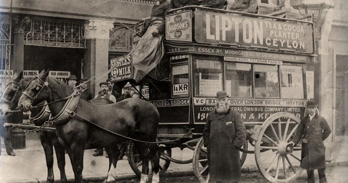 The Rise and Evolution of 19th Century Omnibuses: A Journey Through Time