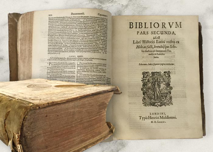 The Worth of 19th Century Bibles: Understanding Their Historical and Monetary Value