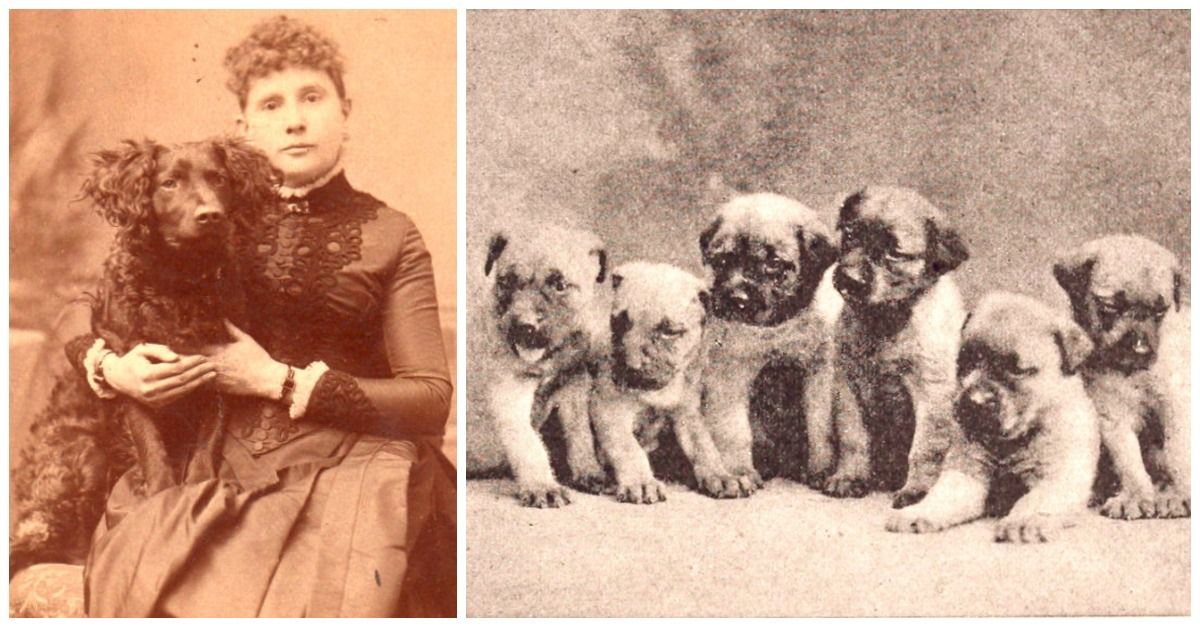 Uncovering the Top 19th Century Dog Names: A Nostalgic Journey into Canine Naming Trends